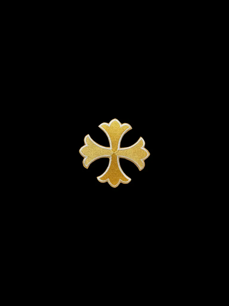 AP 17.webp